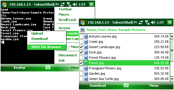 SSH2 File Browser
