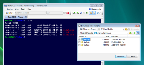SSH2 Remote Copy - Download Example
